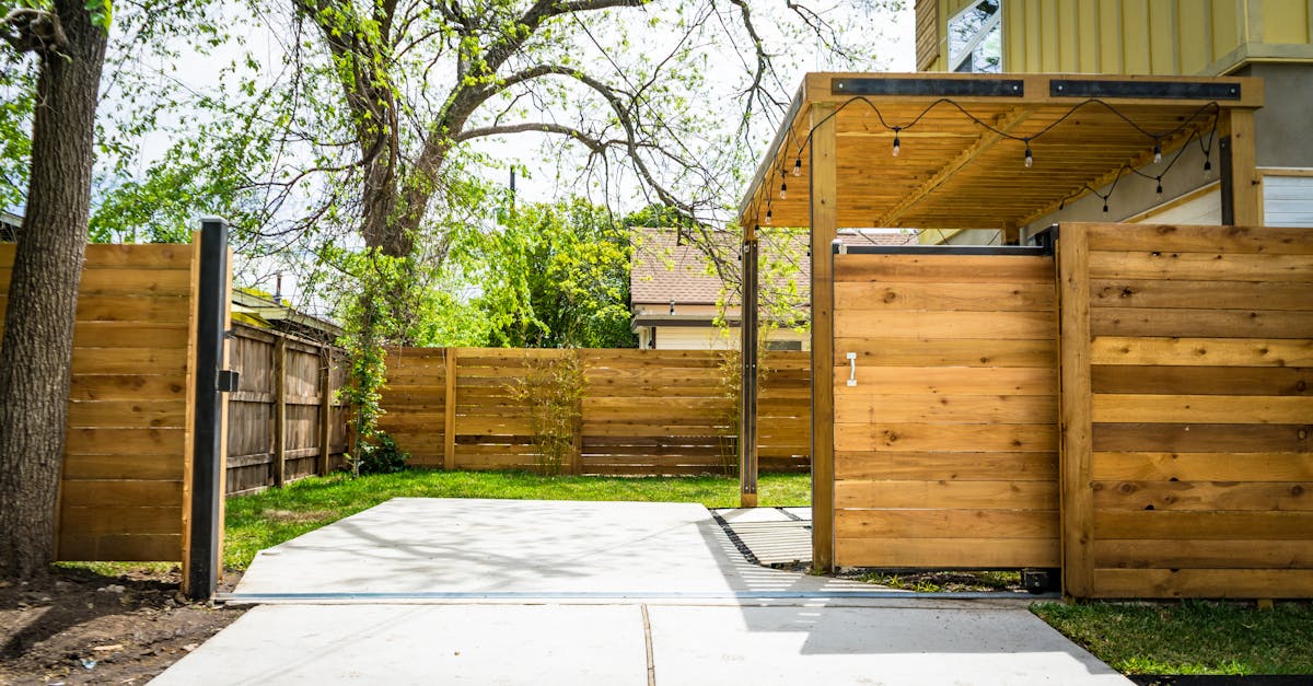 Sunlit wooden fence and patio gate in a peaceful backyard setting.